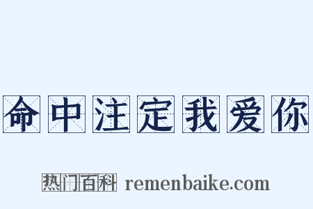命中注定我爱你是什么意思的图片